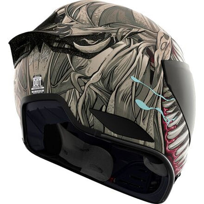 ICON DOMAIN HELMET | GRAND MAW